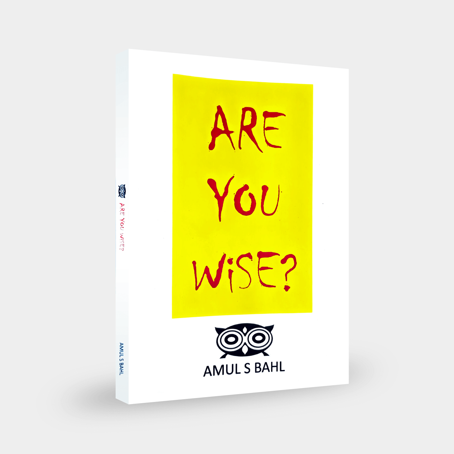 Are You Wise Book View 2