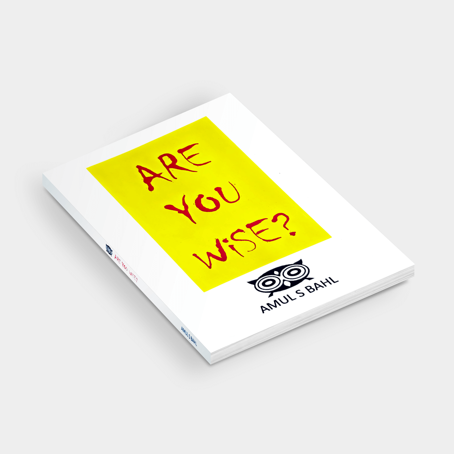 Are You Wise Book View 4