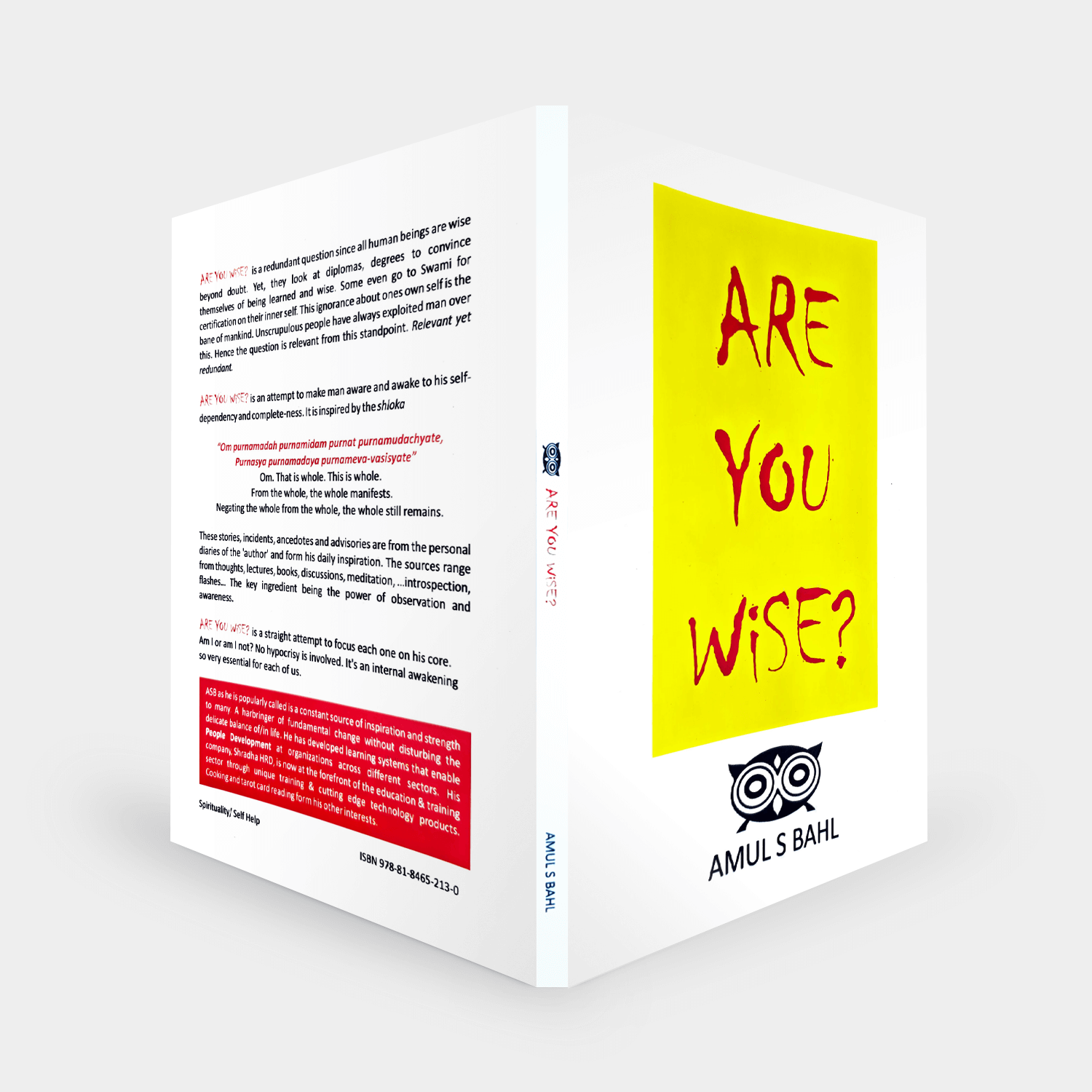 Are You Wise Book View 5